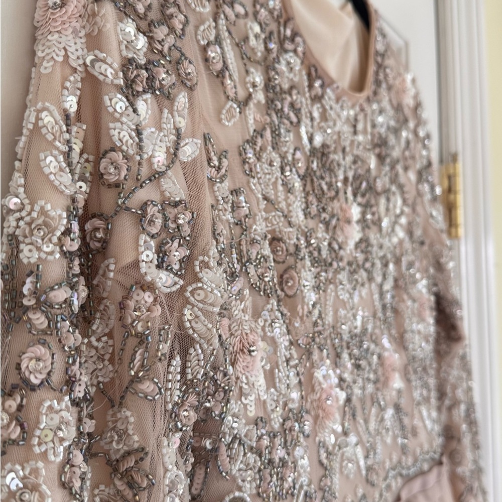 Needle & Thread Embroidered Long-Sleeve Tulle Dress in Blush - Picture 3 of 3